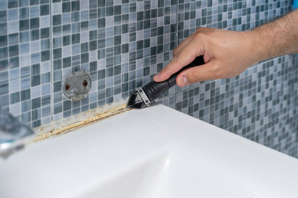 Best Mold Remediation  in Marana, AZ