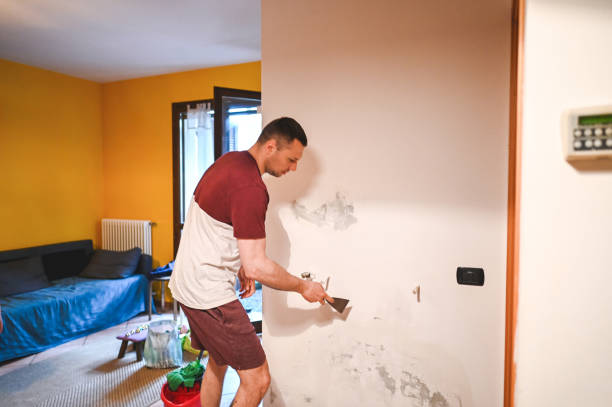 Best Mold Cleaning Services  in Marana, AZ