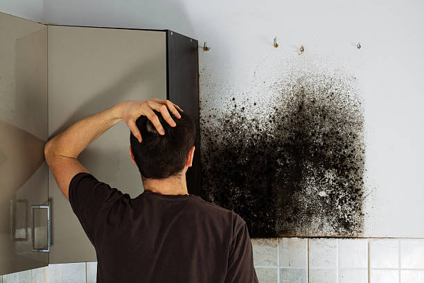 Home Mold Removal in Marana, AZ